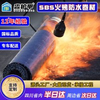 改性沥青sbs防水卷材聚酯胎热熔火烤型楼顶漏水补漏防水材料定 制