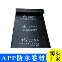 APP塑性体改性沥青防水卷材 3mm厚4mm厚东南亚屋顶防水补漏材料